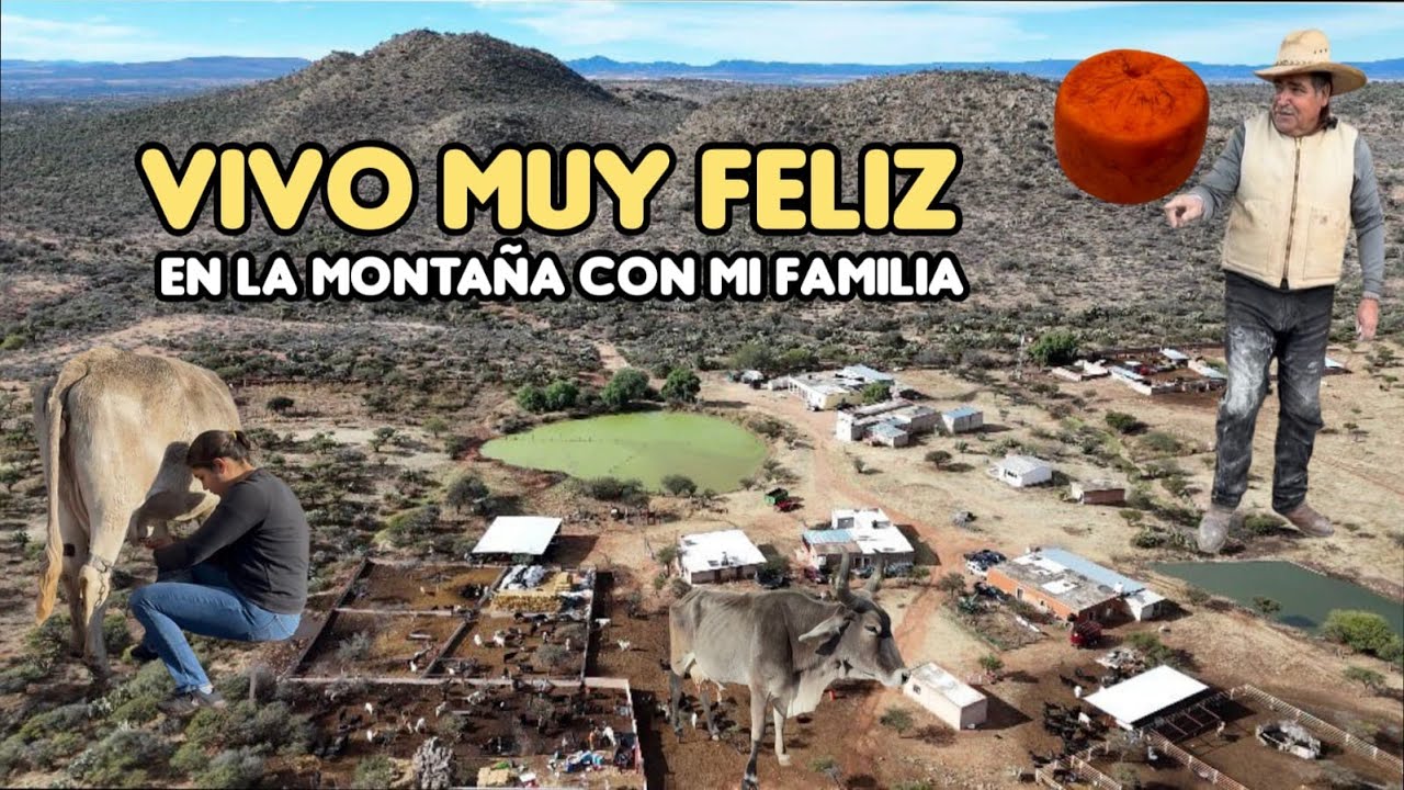 Una Comunidad En La Sierra, Muy Alejada De La Ciudad, Producimos Queso Y Huevo De Rancho