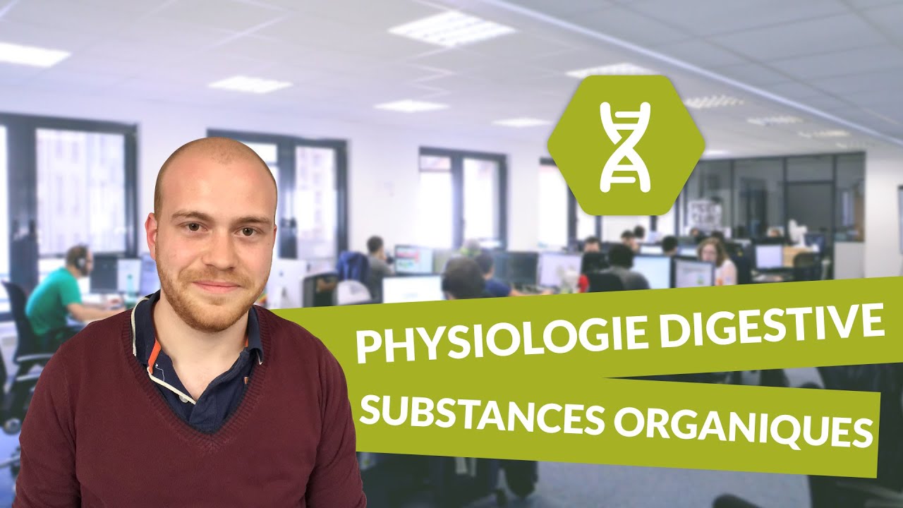 Physiologie digestive, suc gastrique, substances organiques - Physiologie - digiSchool