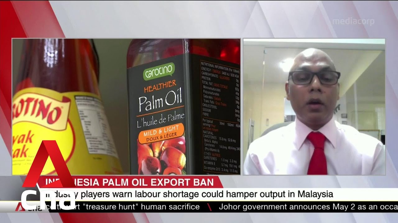 Palm oil shortfall caused by Indonesia ban cannot be met by Malaysia: Analyst