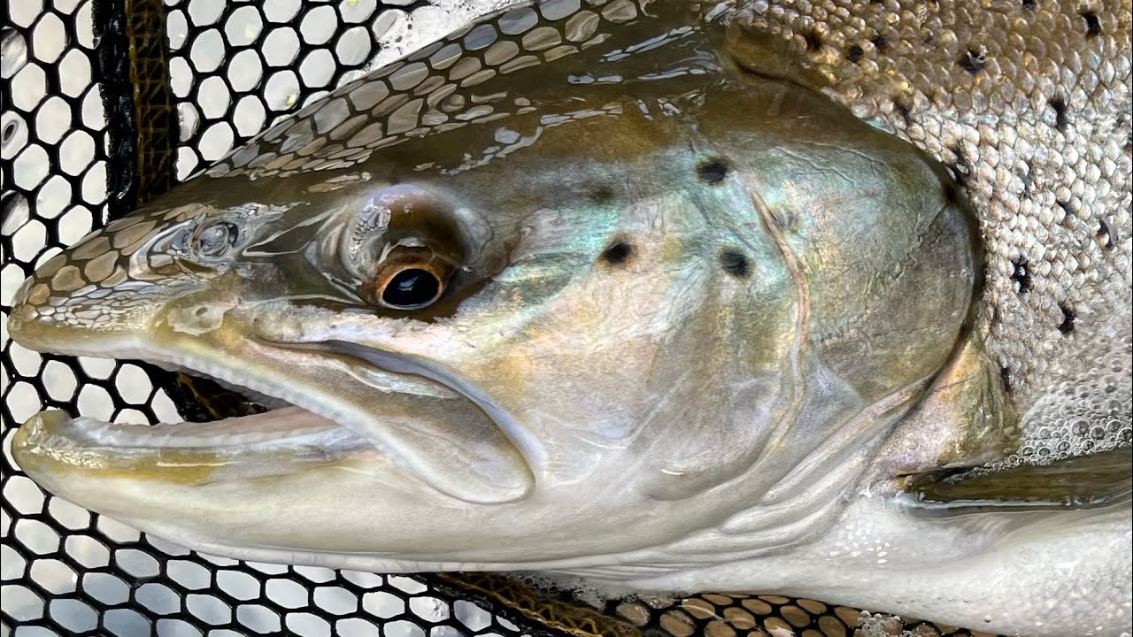 Fellowship and fishing for big trout; reflections on trib trip 2025 and friends forged on the ice