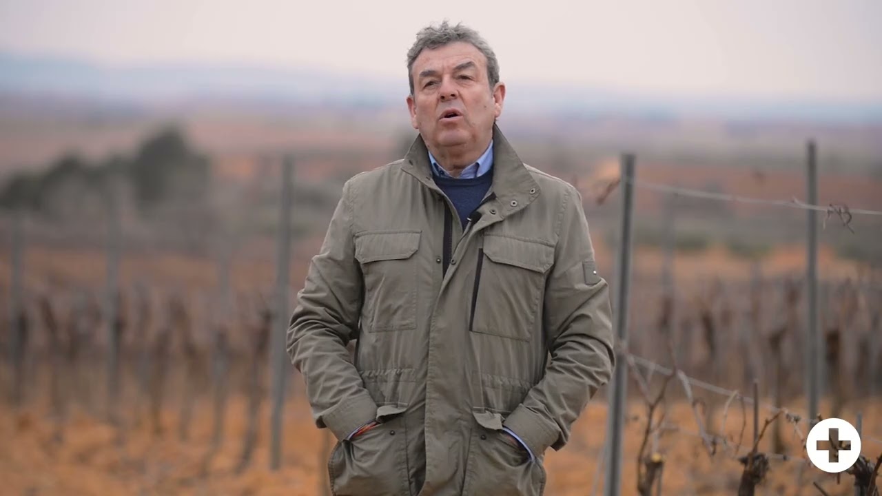 El gran laboratorio de Bodegas Hispano Suizas