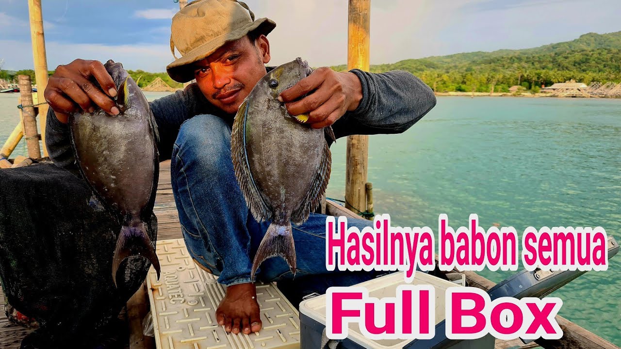 Hasilnya babon baronang jalu, Full Box Eps. 5 