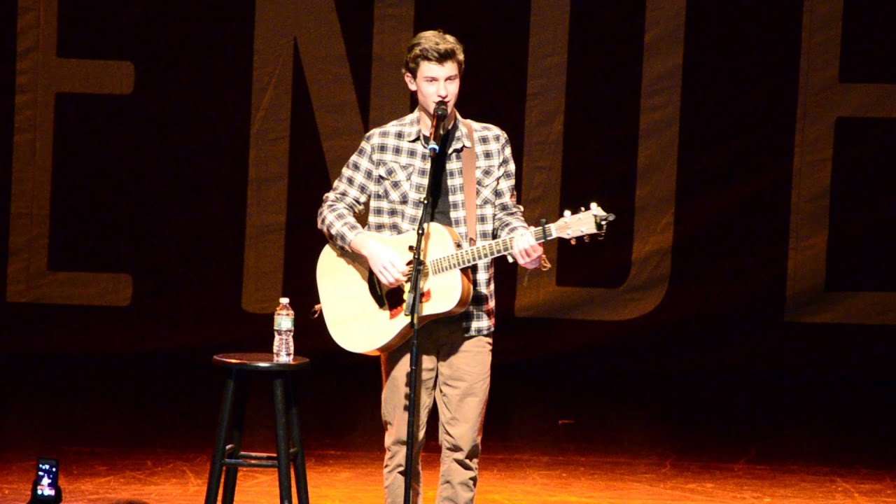 Shawn Mendes- Show You, Something Big, Strings