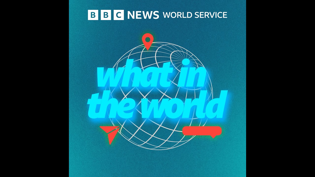 Why are we obsessed with personality types and labels? - BBC World Service