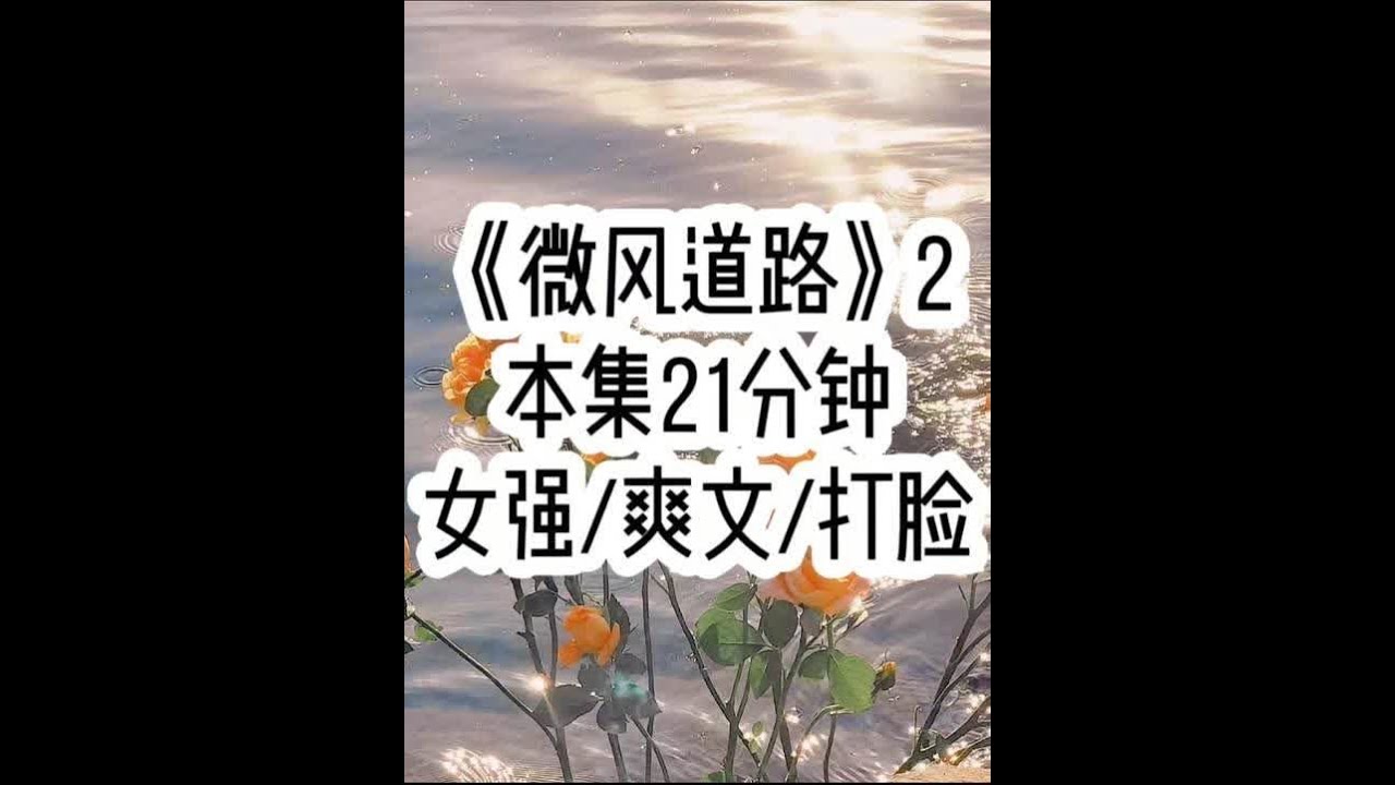 《微风道路》2 上集内容接本集9分钟36秒#番茄畅听