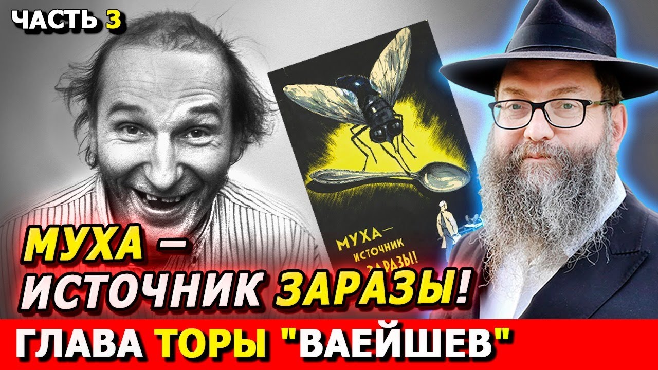 Главы Торы ВАЕЙШЕВ часть 3 | Комментарии к недельной главе | Лекции Байтмана