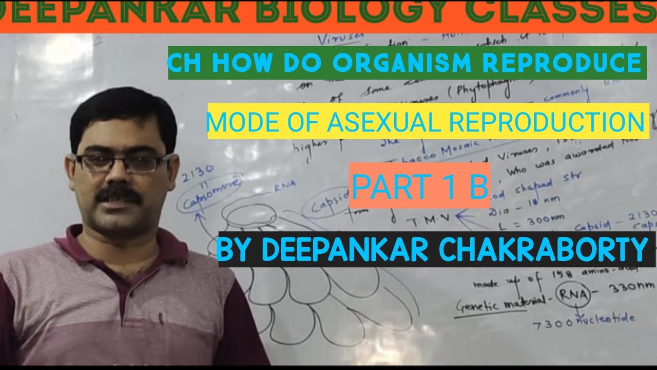 HOW DO ORGANISM REPRODUCE|| ASEXUAL MODE OF REPRODUCTION|| PART 2A