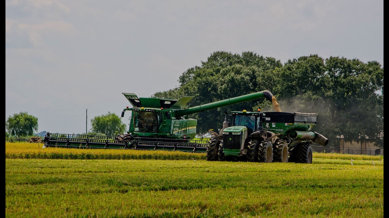 2019 John Deere S790 Cutting Rice in Louisiana 4K Drone Video