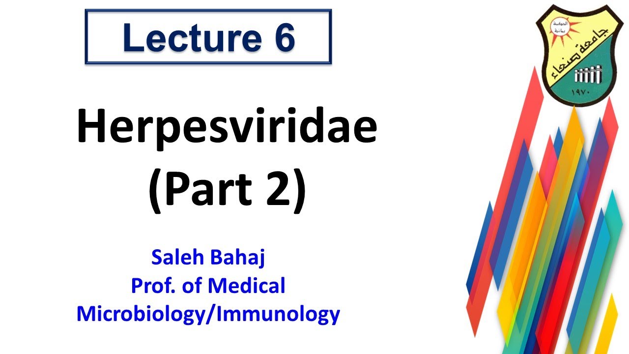 7  Epstein Barr virus & Cytomegalovirus