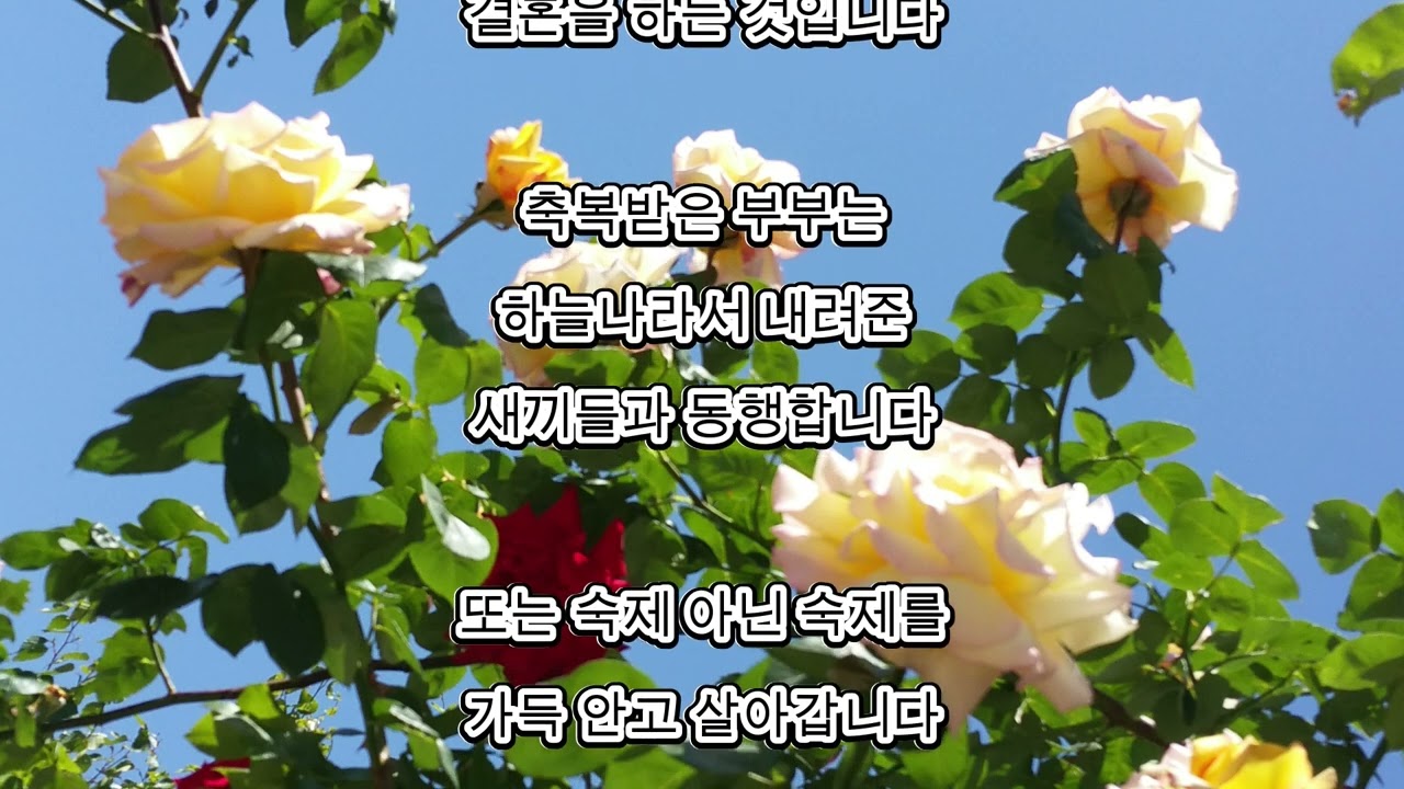 조철수 시인의 시,동영상 편집,오은문학, 출판부