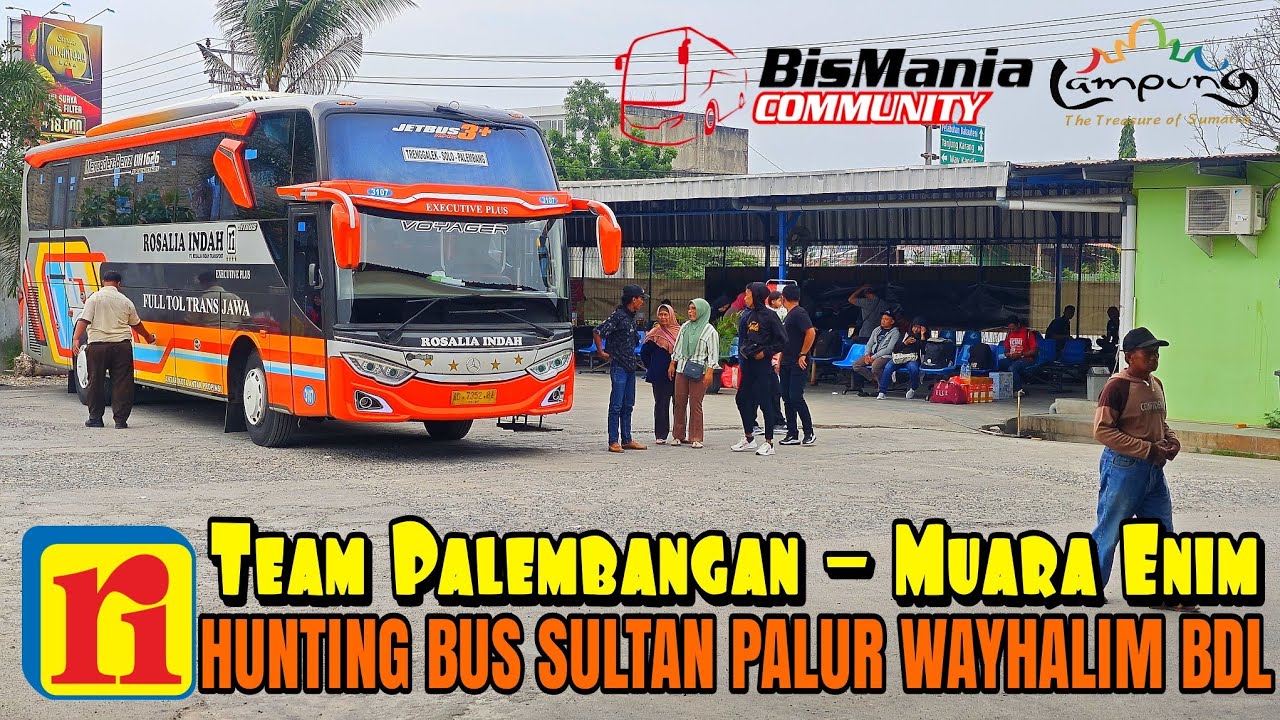 HUNTING BUS ROSALIA INDAH TEAM PALEMBANG BATURAJA | Armada Baru Sultan Palur 2024 #massoeparproject