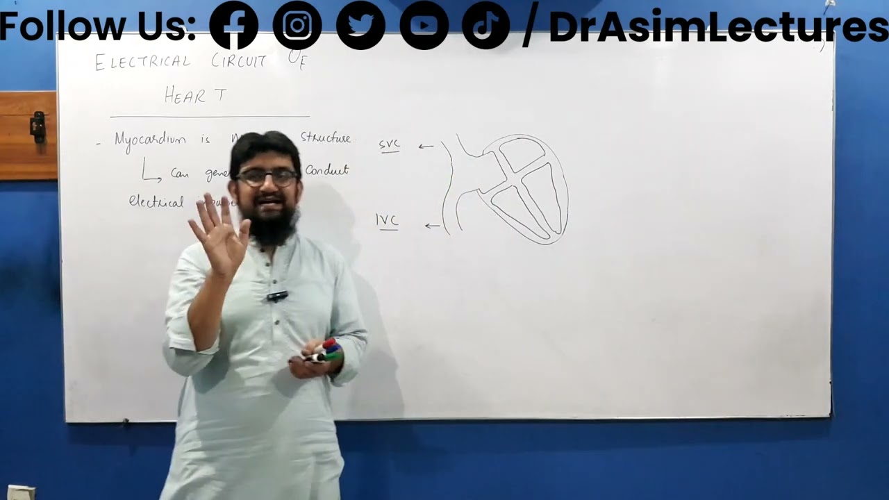 Cardiac Electrical Conduction System 01 | Electrical Circuit of Heart 01