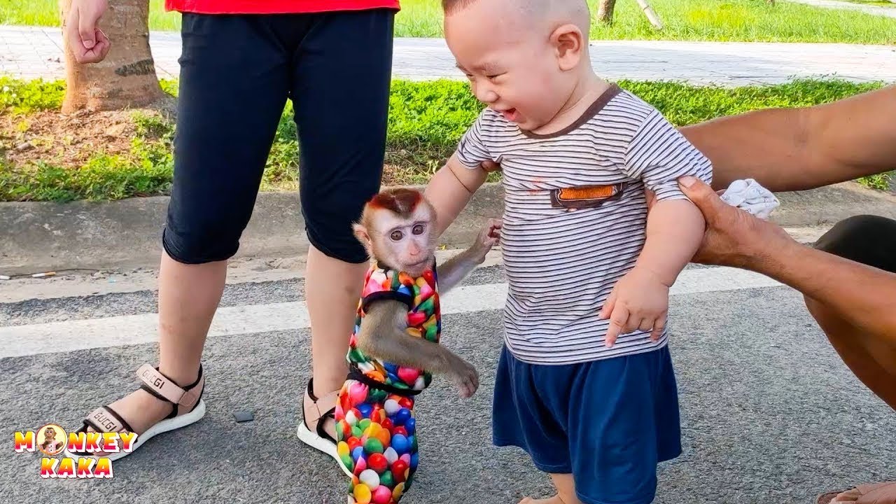 Папа привёл обезьянку Кака в парк поиграть с другими посетителями.