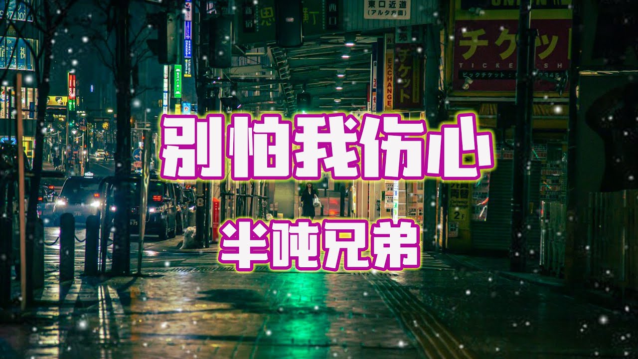 半吨兄弟 - 别怕我伤心 (原唱：张信哲)『一颗爱你的心，时时刻刻为你转不停。』【動態歌詞】♪