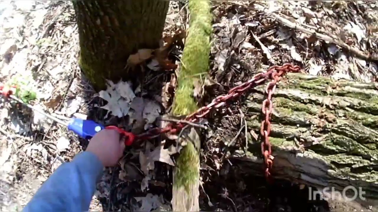 Prvá skúška navijaku ( nezostrihané video)