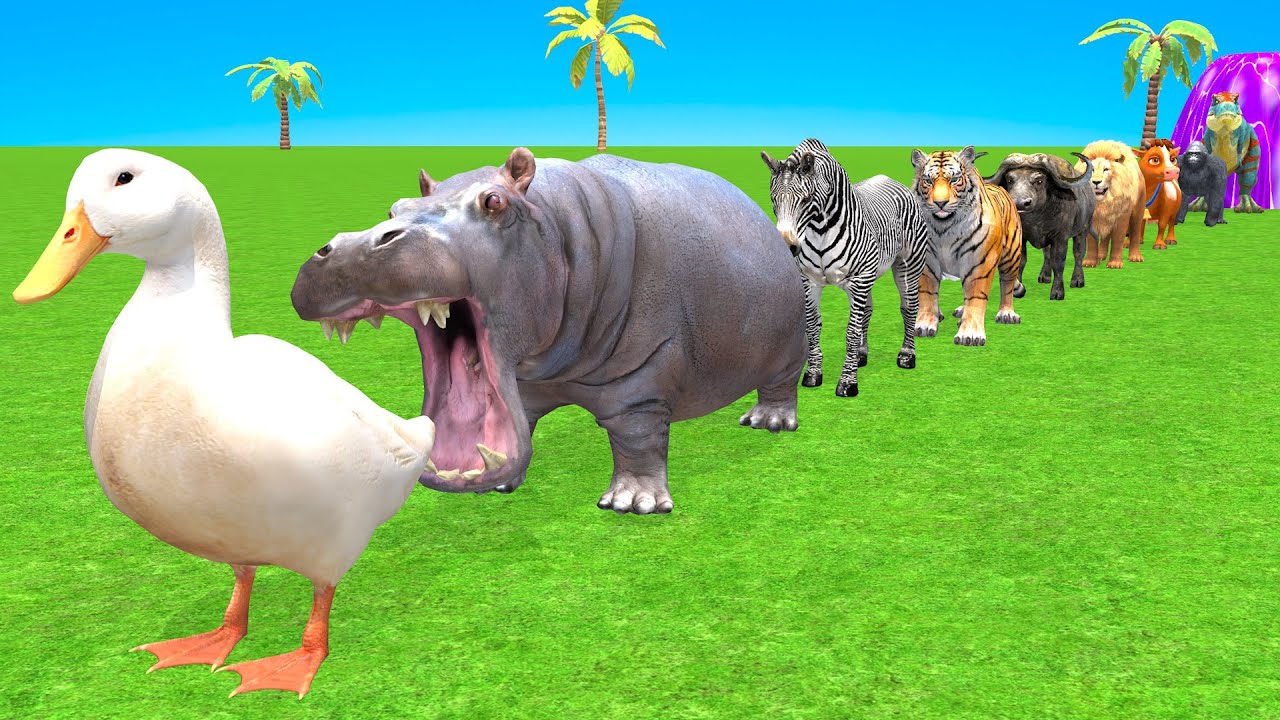 Colorful Long Slide Game With Cow Elephant Gorilla Hippopotamus Tiger 3dAnimal Game Funny 3d Animals