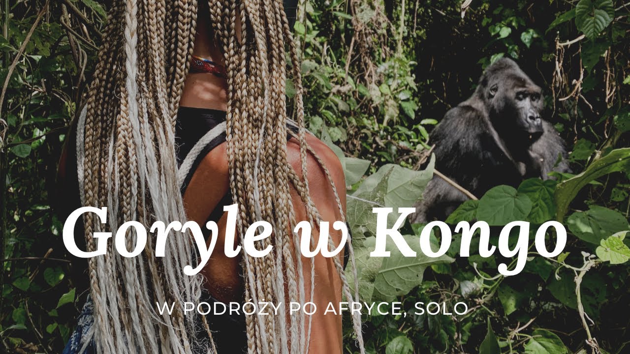Spotkanie z Gorylami w Kongo
