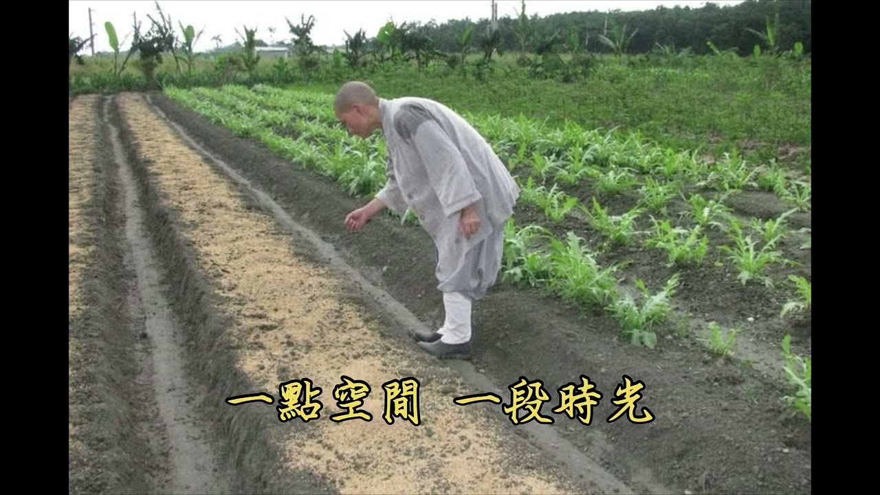 靜思園地歌曲《給它一畝陽光》