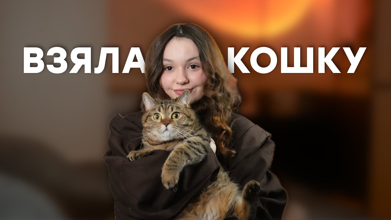 КОШКА ИЗ ПРИЮТА | Как решилась? | Мой опыт