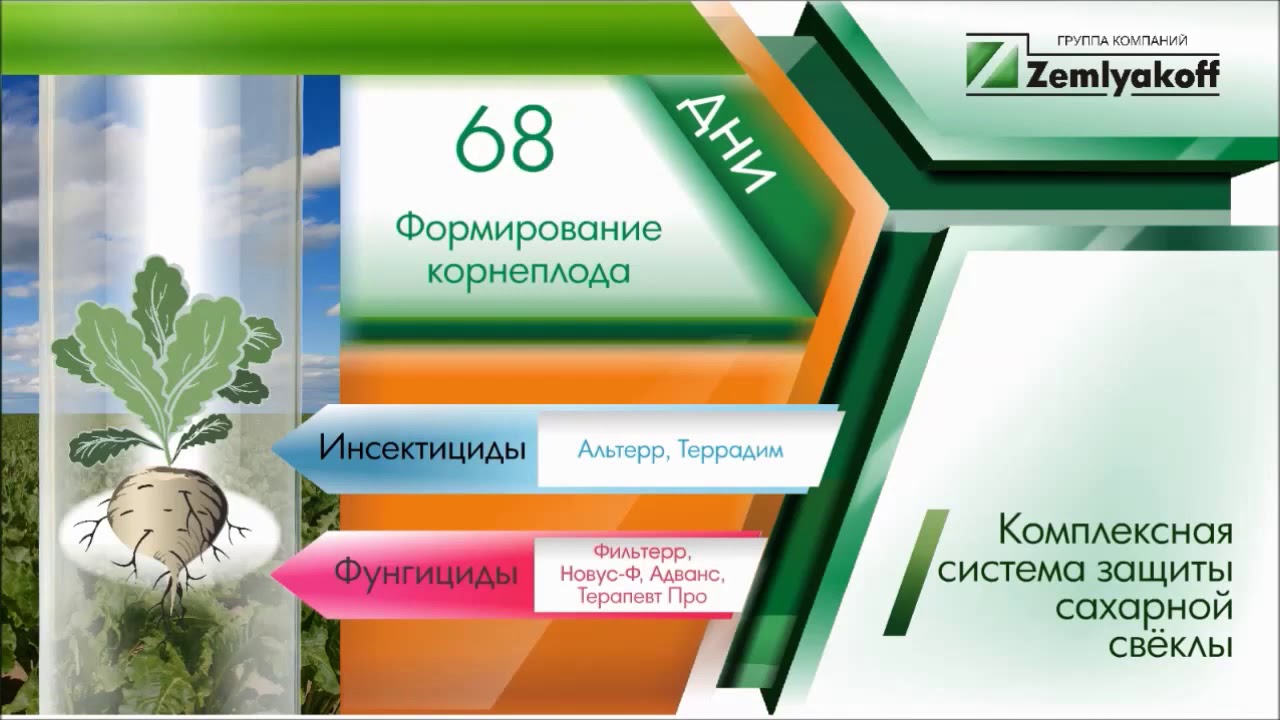 Комплексная защита сахарной свеклы