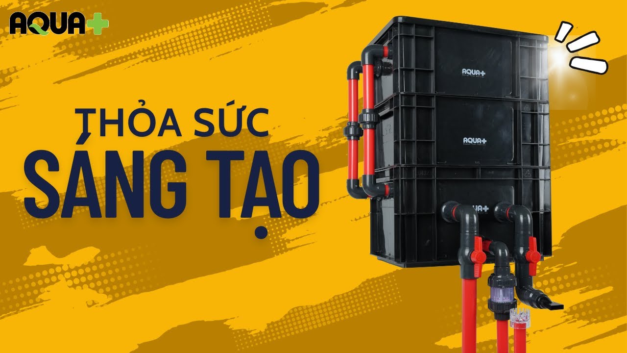 Review & test thử chạy giấu bơm với bộ thùng lọc 3 tầng Aqua+ cho hồ/bể cá cảnh