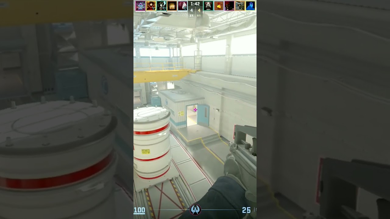 Flashbang Kill!  - Counter-Strike 2! #clips #cs2 #flashbang #gamer #insane #game #montage #headshot