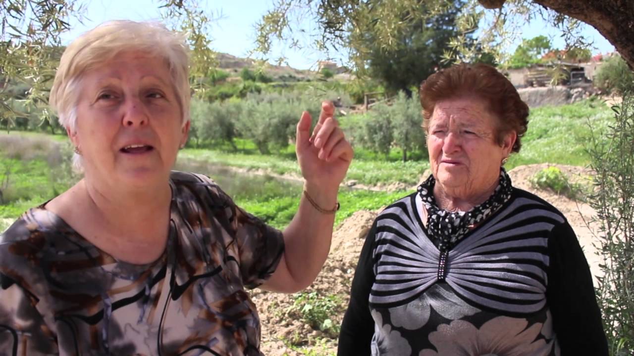Canal de Fuente Librilla