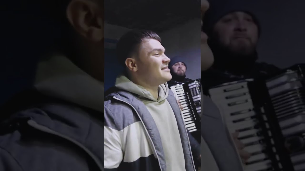 Alexandru Ciubotaru  - Dintr-o dragoste curata a iesit un printisor