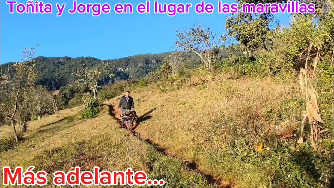 Solo recuerdos quedan de cómo salía acompañado de mi esposa Toñita al campo a traer la leña 