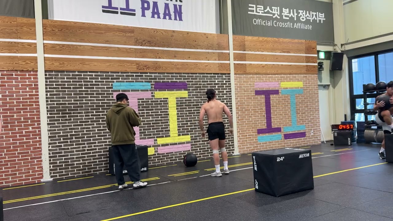 26.1/219