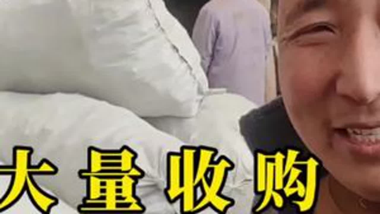 今天盘了十几万纯野生藏当归，有藏当归的朋友评论区说一声哈，我想当老板了。