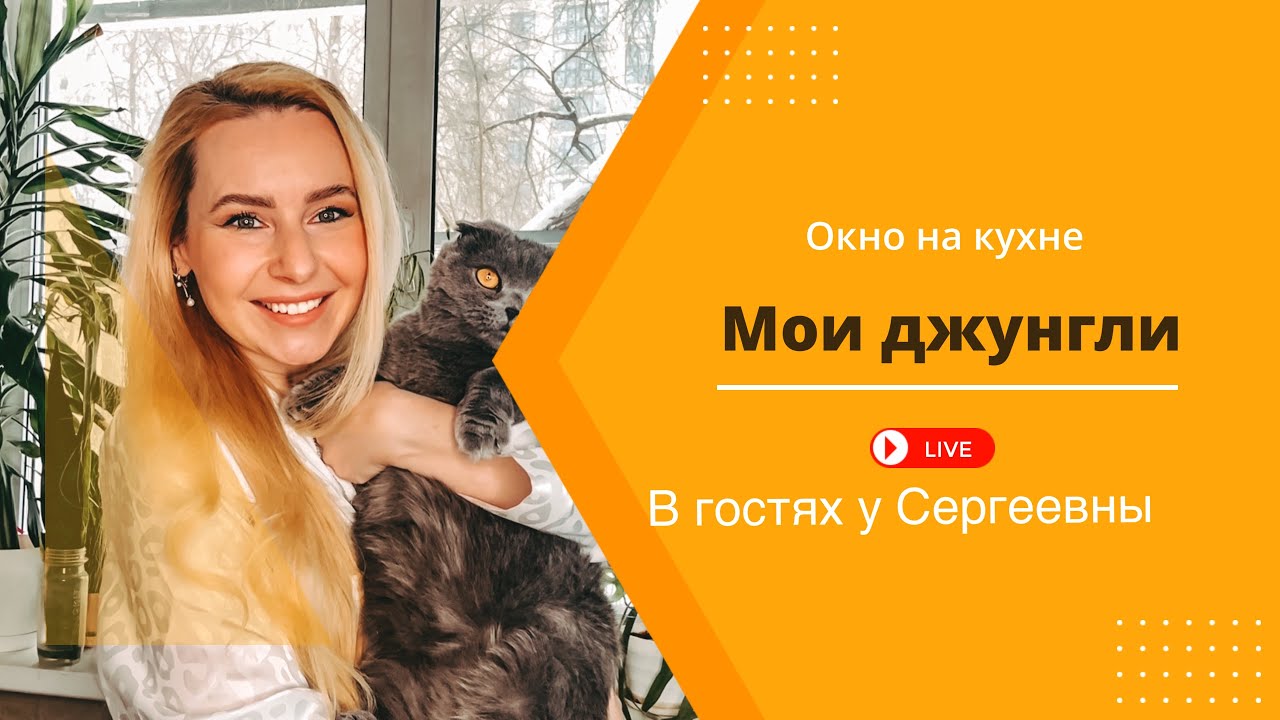 Обзор комнатных растений на окне в кухне🌿🪴#комнатныецветы #обзор #растения