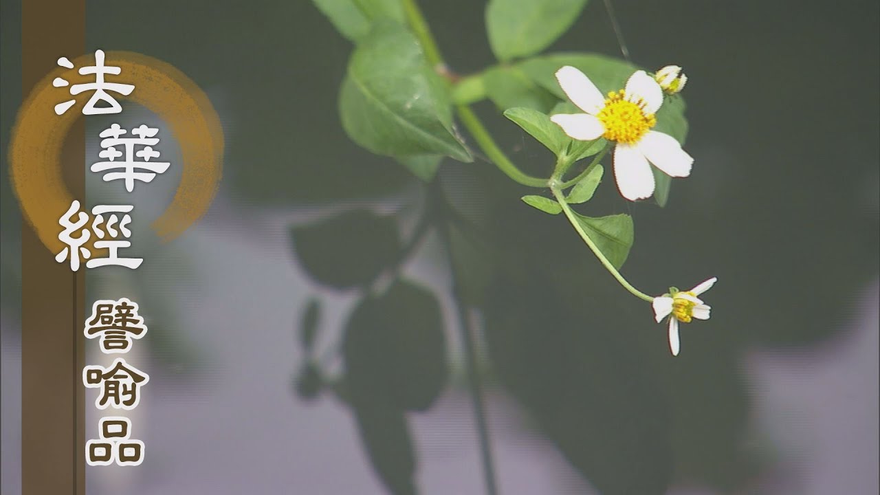 【靜思妙蓮華】法華經譬喻品 - 復憶初心 - 20201001 第490集