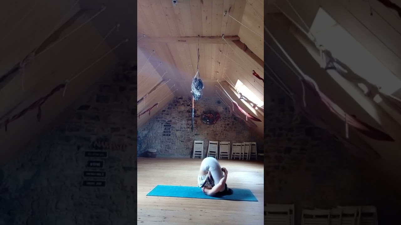 l'embryon dans le corps entier pindasana in sarvangasana + la charrue en lotus padmasana in halasana
