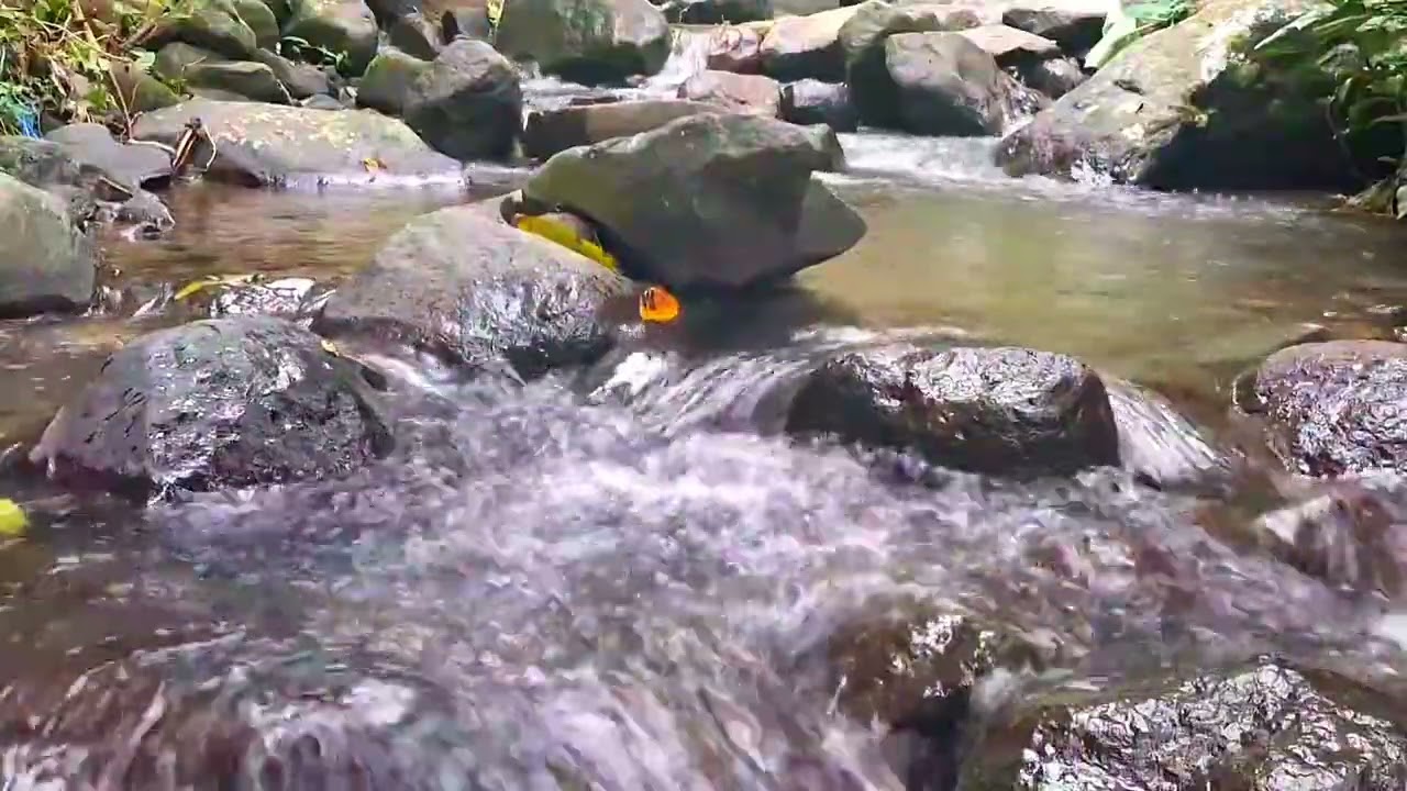 River Sounds for Calm Mind at Night