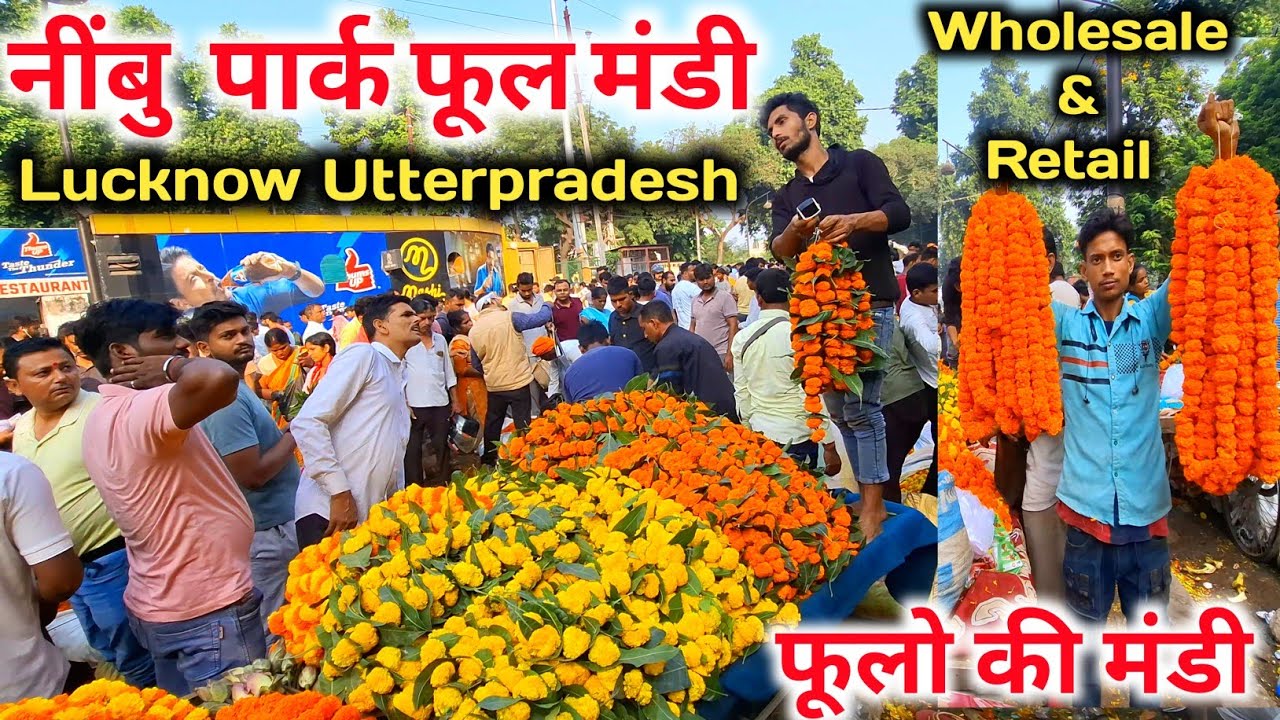 लखनऊ फूल मंडी 🎉💯 |Phool Mandi Lucknow |Lucknow Phool Mandi |Lucknow Flower Market |Phool mandi