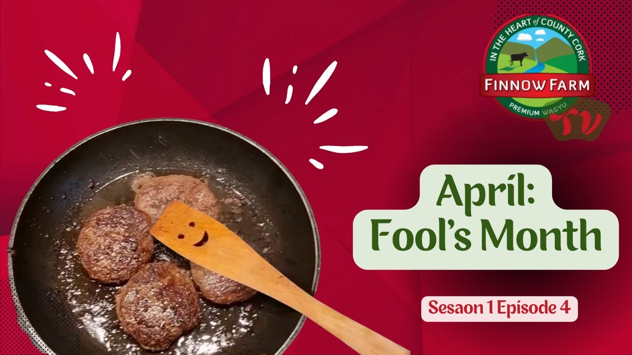 April: Fools Month S1E4 #wagyu #farm #farming #farmlife #beef #breed #cattle #beef #Irish