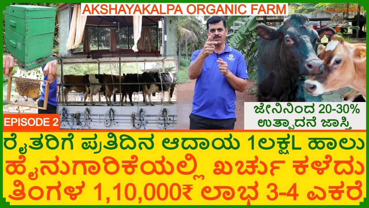 ಹೈನುಗಾರಿಕೆಯಲ್ಲಿ ಪ್ರತಿದಿನ ಆದಾಯ | 1ಲಕ್ಷ L ಹಾಲು ದಿನ ಹಸು ಸಾಕಾಣಿಕೆಯಲ್ಲಿ ಲಾಭ ಗಳಿಸಲು ಈ ವಿಡಿಯೋ Dairy Farming