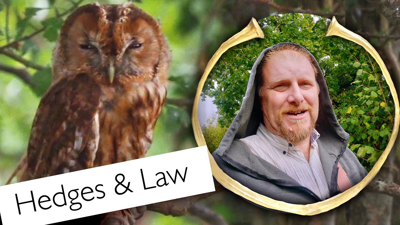 How The Law Protects English Hedges