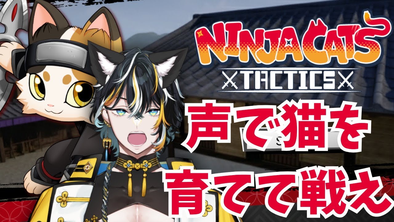 【NINJA CATS: Tactics】猫に声をかけると育つらしい【桃源龍くぐい】