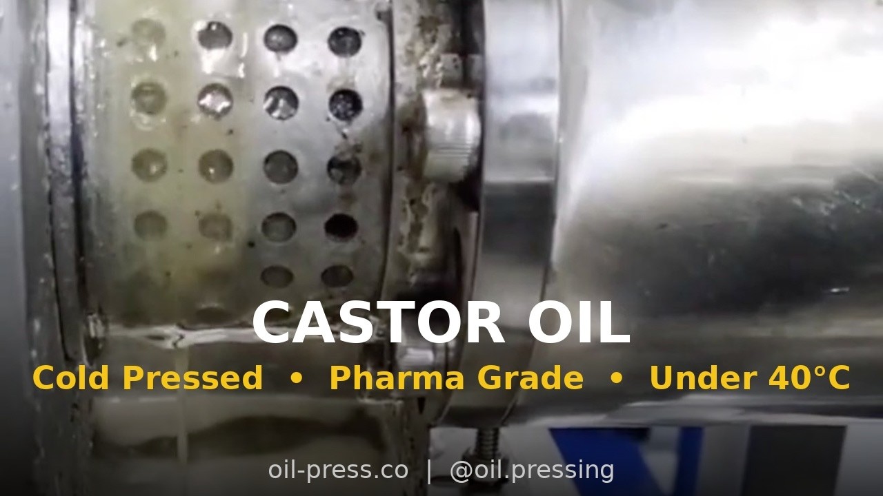 Organic Castor Oil Manufacturing - Oil Press