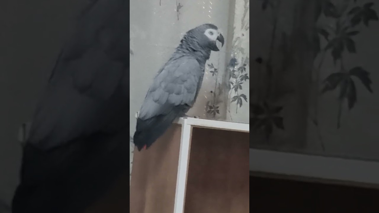 И солнышко мое! И дурочка моя! И все в одном флаконе!