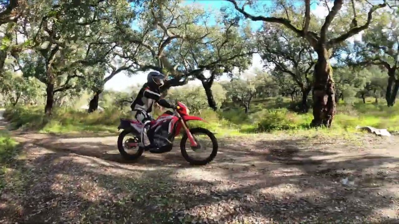 Honda CRF 300L