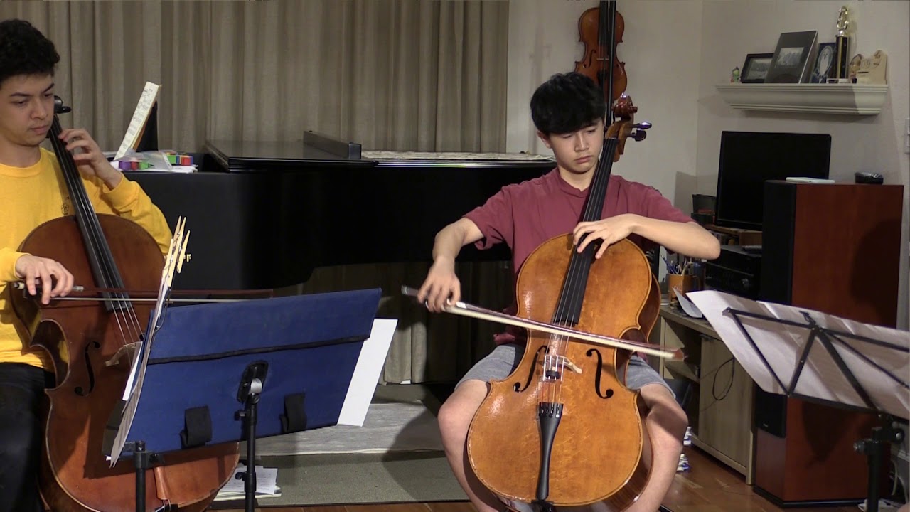 Joseph Haydn - Cello Concerto No. 1 in C major - Allegro molto
