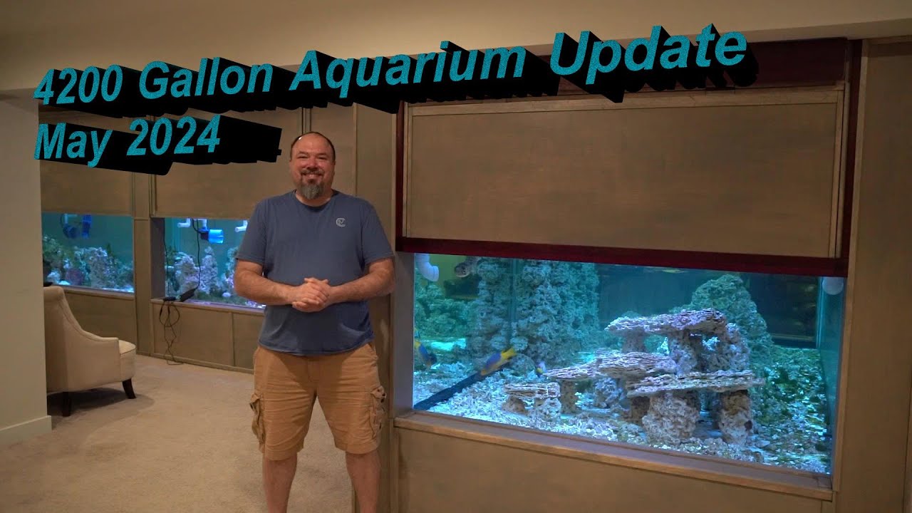 4200 Gallon Aquarium Update May 2024