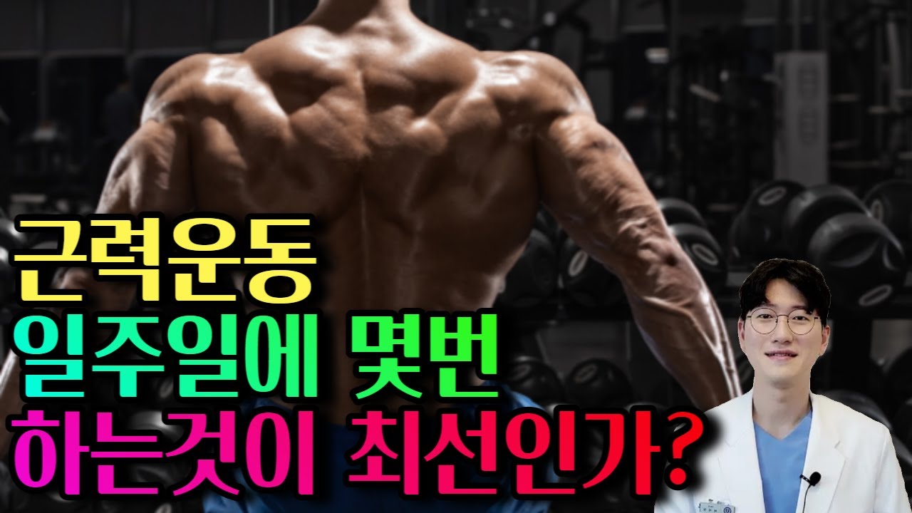 [철저한 논문근거!]매일운동 vs 격일운동 트레이너 겸 의사가 fact만 전달 드립니다