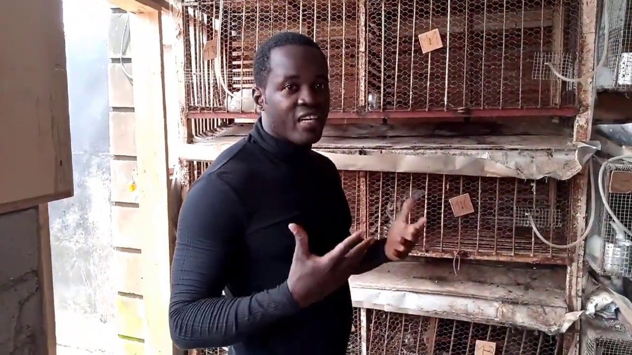 comment composer l aliment complet lapin