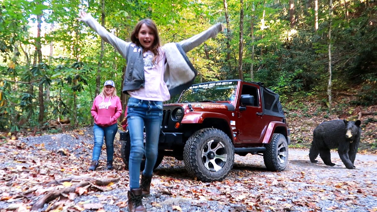 Looking for Bears in the Smoky Mountains! Our Family Adventure