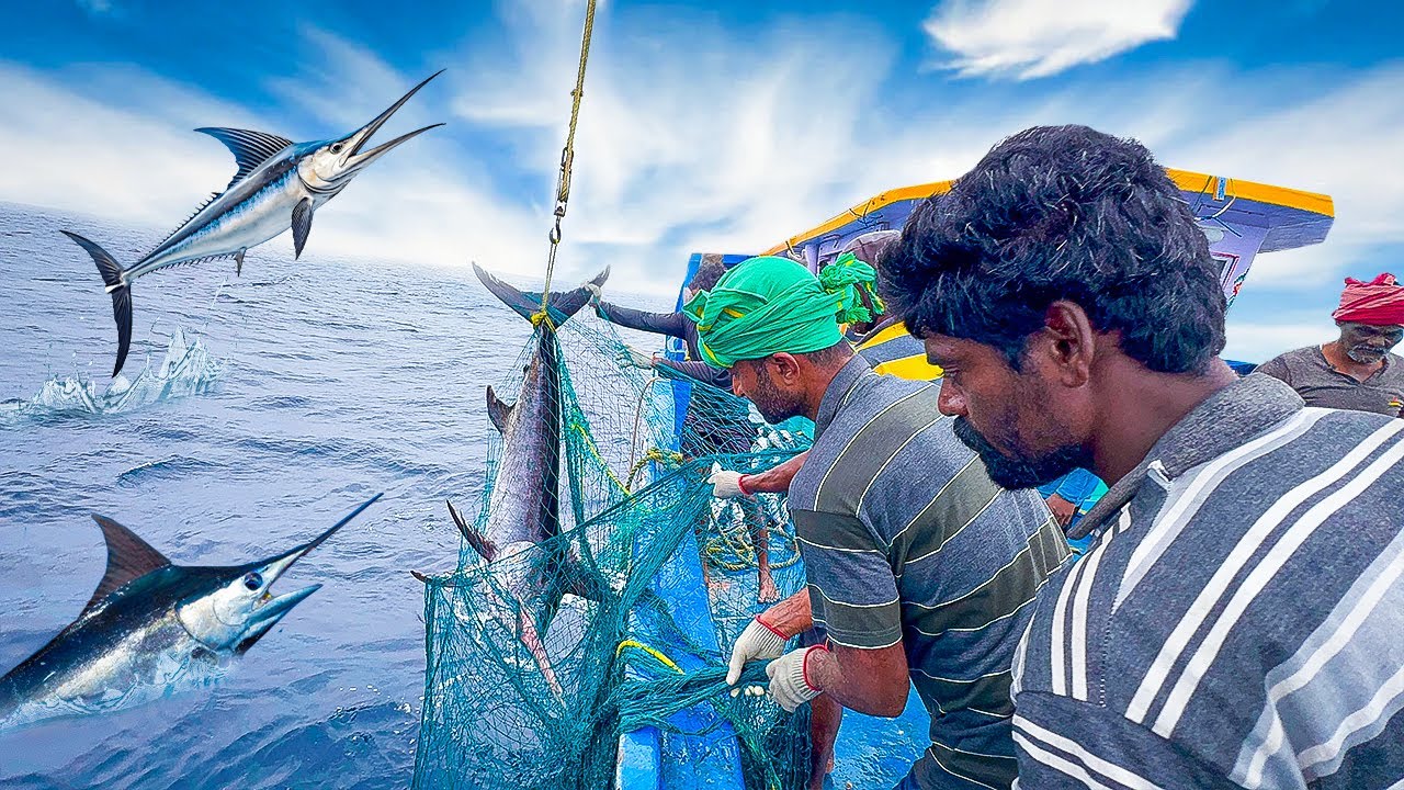 Wow🤩 Non-Stop Action! 5th Day of Gill Net Fishing in the Deep Ocean | Day-05 | S06-EP05