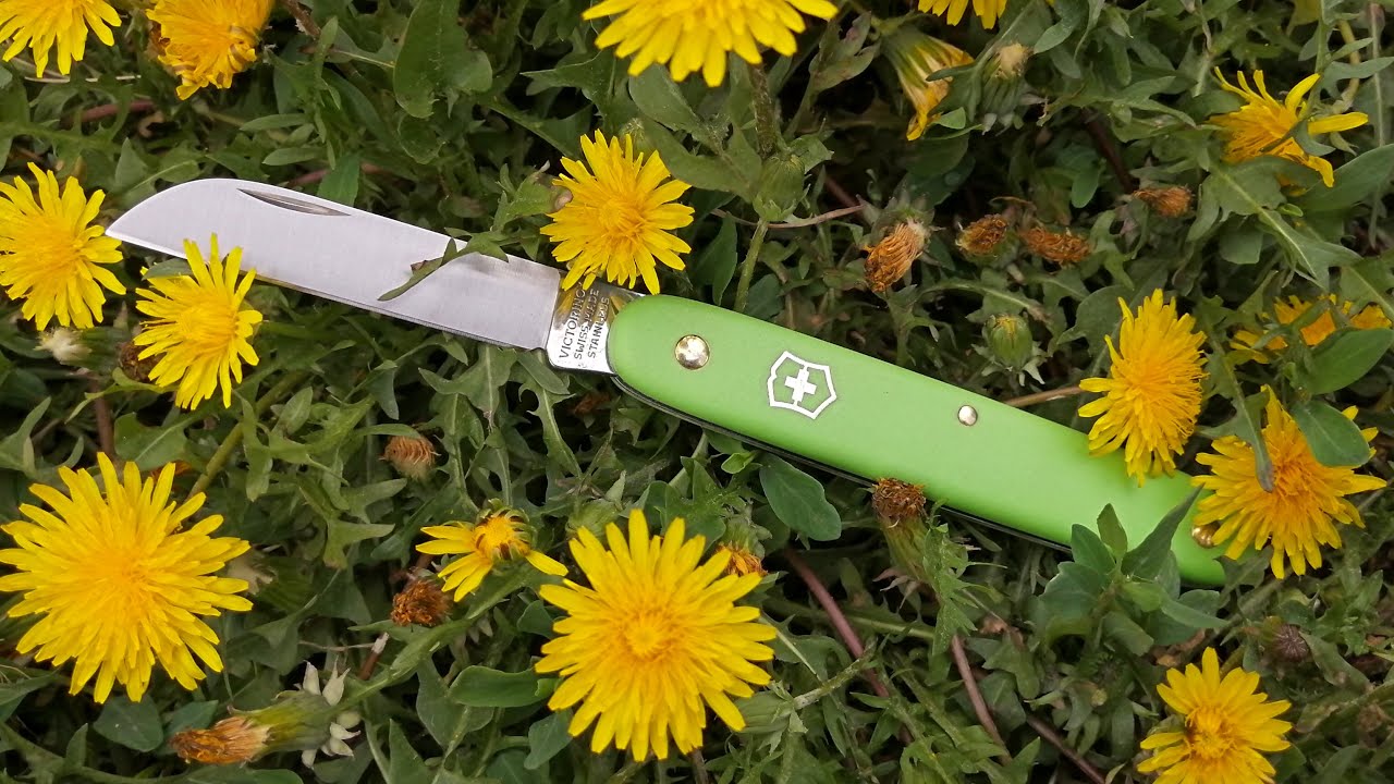 Вызывает вопросы к Victorinox, нож Victorinox EcoLine Floral (3.9050.47B1)